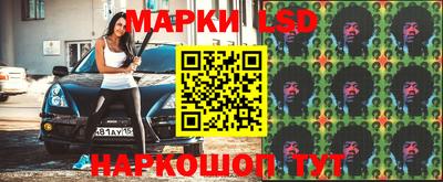 шишки Шебекино