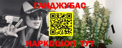 шишки Шебекино