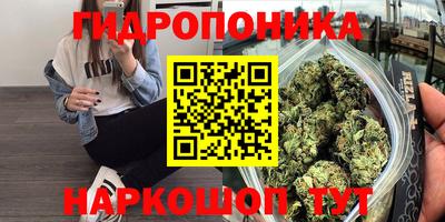 тгк Шахты