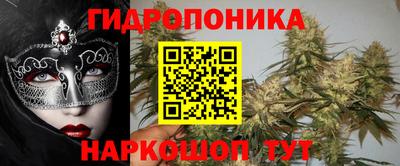 шишки Шебекино
